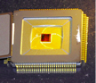 Image of Chip